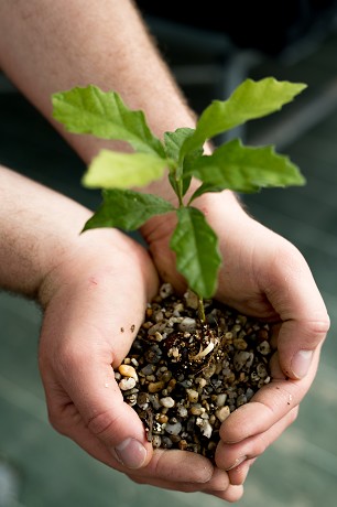 AGRI-TRUFFE: Product image 3