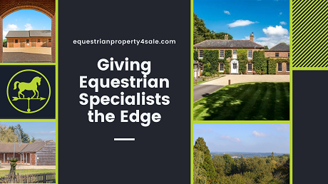 Equestrian Business Solutions: Product image 3