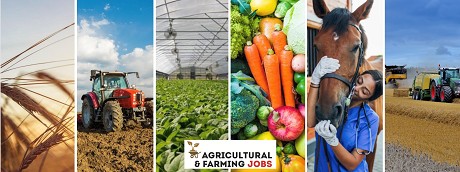Agricultural and Farming Jobs: Product image 3