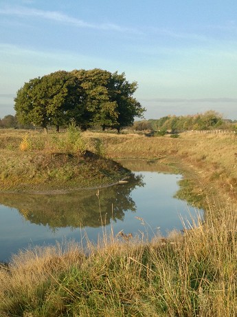Baker Consultants Ecology: Product image 3