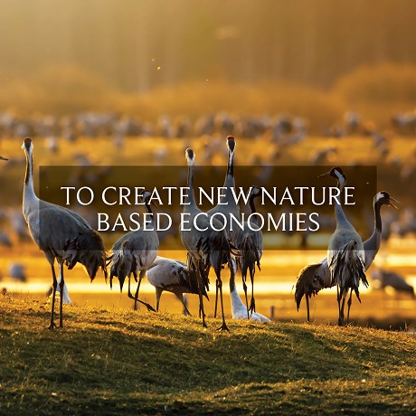 Real Wild Estates: Product image 3