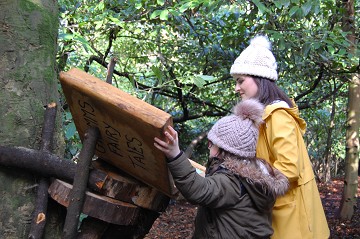 Brilliant Trails: Product image 1