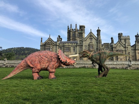 RentaDinosaur: Product image 1