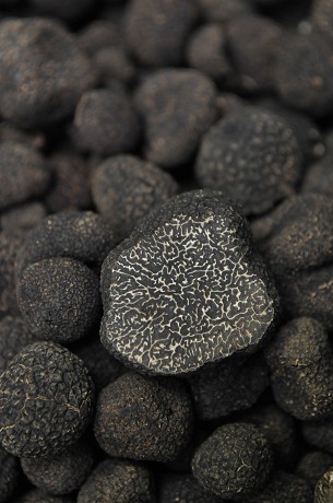 AGRI-TRUFFE: Product image 1