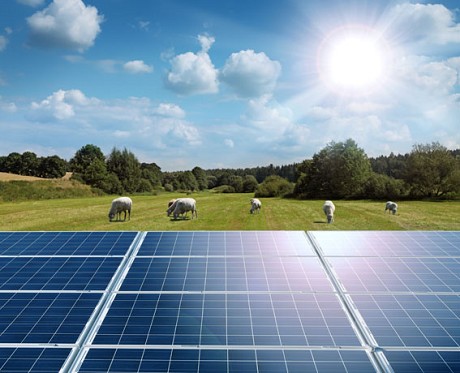 greentech services Limited: Product image 1