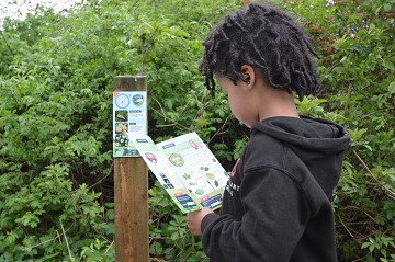 Brilliant Trails: Product image 2