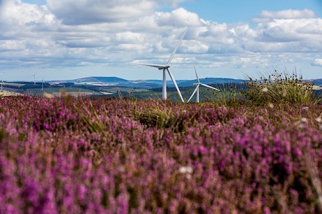 RES (Renewable Energy Systems): Product image 2