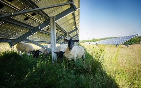 Belltown Power UK Wind Ltd: Product image 2